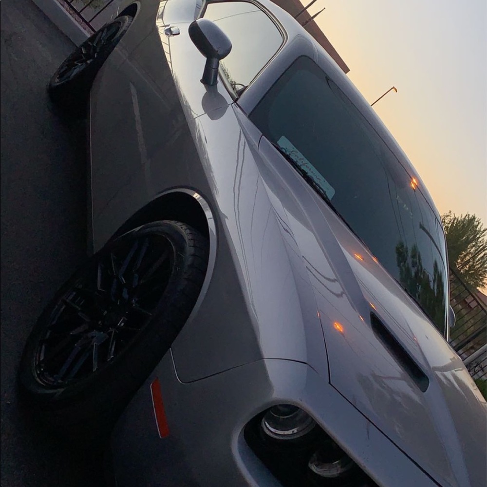 Meet your Posher, Ozzy